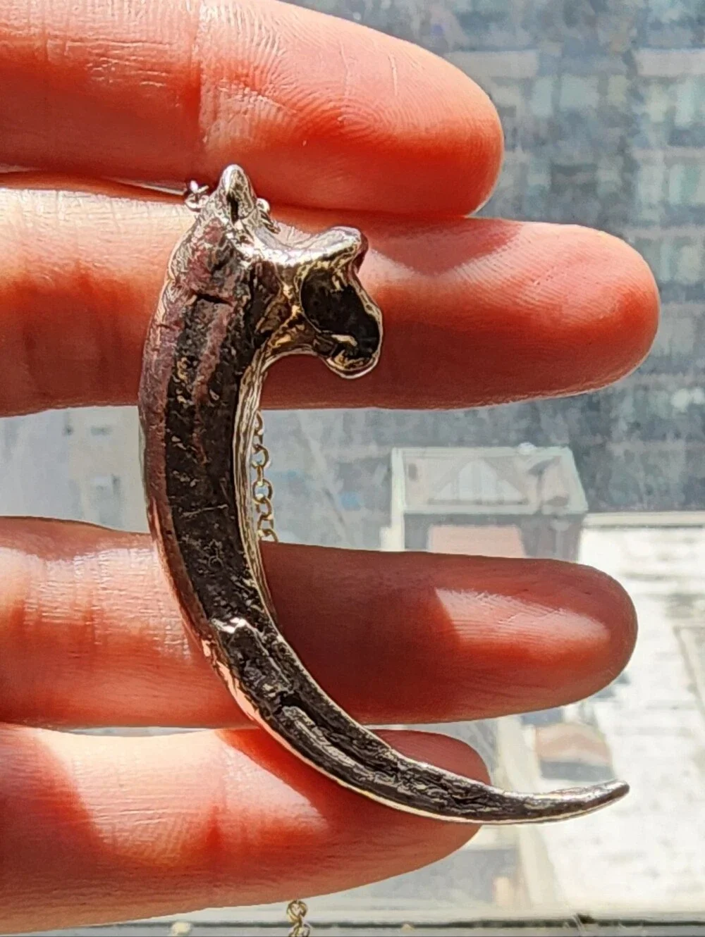 Pamela Love Rare Silver Eagle Talon Necklace - Picture 8 of 8